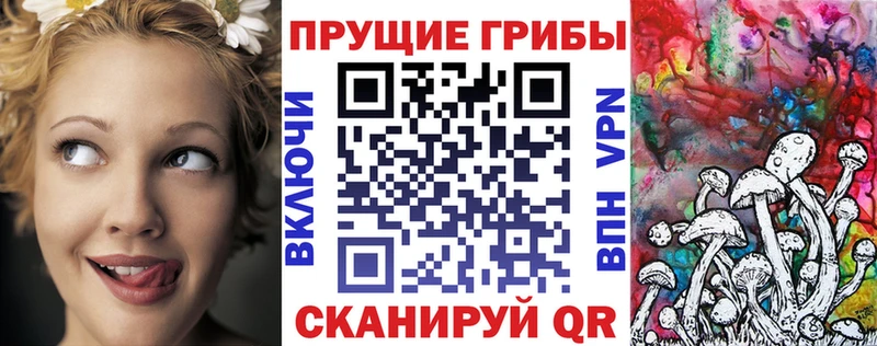 Галлюциногенные грибы GOLDEN TEACHER  где продают   мега tor  Кизилюрт 